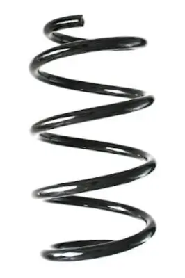 Fahrwerksfeder Vorderachse SPIDAN GKNW10093 Bild Fahrwerksfeder Vorderachse SPIDAN GKNW10093