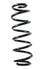 Fahrwerksfeder Hinterachse SPIDAN GKNW10096