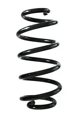 Fahrwerksfeder Hinterachse SPIDAN GKNW10100