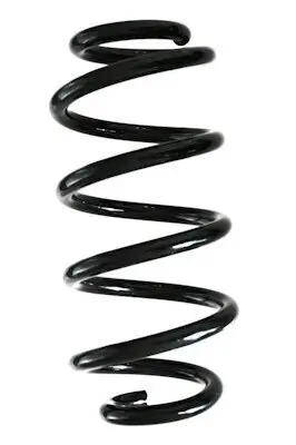 Fahrwerksfeder Hinterachse SPIDAN GKNW10101