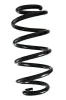 Fahrwerksfeder Hinterachse SPIDAN GKNW10101