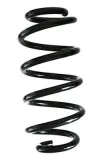 Fahrwerksfeder Hinterachse SPIDAN GKNW10101