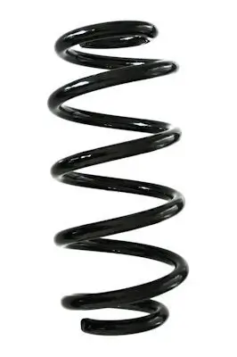 Fahrwerksfeder Hinterachse SPIDAN GKNW10102