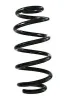 Fahrwerksfeder Hinterachse SPIDAN GKNW10102