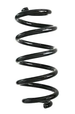 Fahrwerksfeder Hinterachse SPIDAN GKNW10104