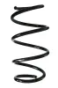 Fahrwerksfeder Vorderachse SPIDAN GKNW10105