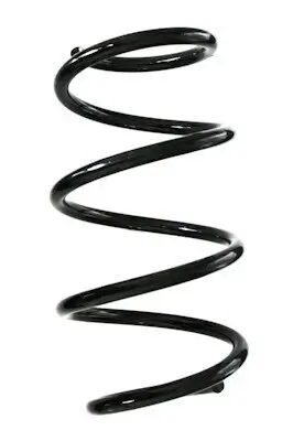 Fahrwerksfeder Vorderachse SPIDAN GKNW10106