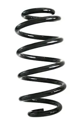 Fahrwerksfeder Hinterachse SPIDAN GKNW10107