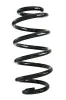 Fahrwerksfeder Hinterachse SPIDAN GKNW10107