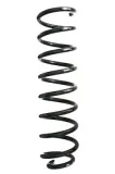 Fahrwerksfeder Vorderachse SPIDAN GKNW10109