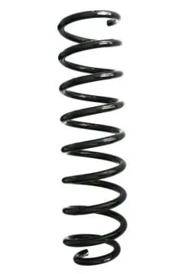 Fahrwerksfeder Vorderachse SPIDAN GKNW10110 Bild Fahrwerksfeder Vorderachse SPIDAN GKNW10110