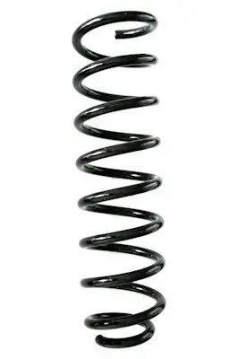 Fahrwerksfeder Vorderachse SPIDAN GKNW10111