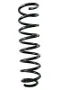Fahrwerksfeder Vorderachse SPIDAN GKNW10111