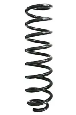 Fahrwerksfeder Vorderachse SPIDAN GKNW10112