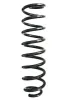 Fahrwerksfeder Vorderachse SPIDAN GKNW10112