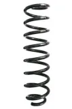 Fahrwerksfeder Vorderachse SPIDAN GKNW10112