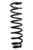 Fahrwerksfeder Vorderachse SPIDAN GKNW10113