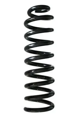 Fahrwerksfeder Hinterachse SPIDAN GKNW10115