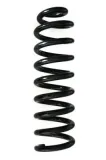 Fahrwerksfeder Hinterachse SPIDAN GKNW10116
