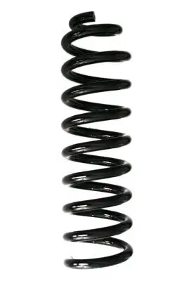 Fahrwerksfeder Hinterachse SPIDAN GKNW10117