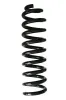 Fahrwerksfeder Hinterachse SPIDAN GKNW10117