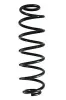 Fahrwerksfeder Hinterachse SPIDAN GKNW10119