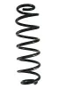 Fahrwerksfeder Hinterachse SPIDAN GKNW10121