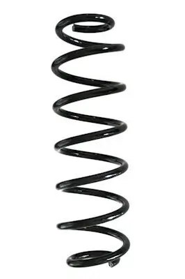 Fahrwerksfeder Hinterachse SPIDAN GKNW10122