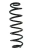Fahrwerksfeder Hinterachse SPIDAN GKNW10122