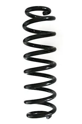 Fahrwerksfeder Hinterachse SPIDAN GKNW10124
