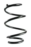 Fahrwerksfeder Vorderachse SPIDAN GKNW10126