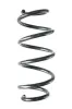 Fahrwerksfeder Hinterachse SPIDAN GKNW10128