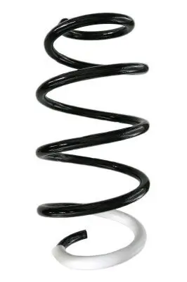 Fahrwerksfeder Vorderachse SPIDAN GKNW10130 Bild Fahrwerksfeder Vorderachse SPIDAN GKNW10130