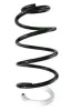 Fahrwerksfeder Vorderachse SPIDAN GKNW10133