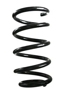 Fahrwerksfeder Hinterachse SPIDAN GKNW10135