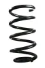 Fahrwerksfeder Hinterachse SPIDAN GKNW10135