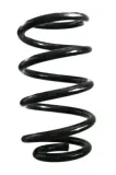 Fahrwerksfeder Hinterachse SPIDAN GKNW10136
