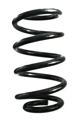 Fahrwerksfeder Hinterachse SPIDAN GKNW10136 Bild Fahrwerksfeder Hinterachse SPIDAN GKNW10136