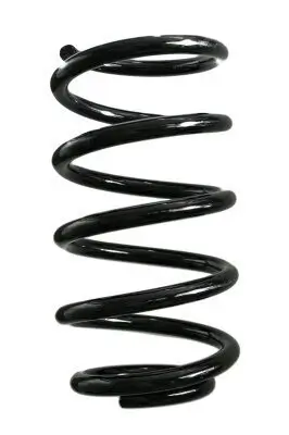 Fahrwerksfeder Hinterachse SPIDAN GKNW10137