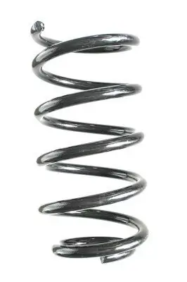 Fahrwerksfeder Hinterachse SPIDAN GKNW10138