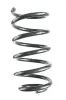 Fahrwerksfeder Hinterachse SPIDAN GKNW10138
