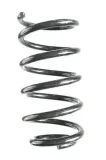 Fahrwerksfeder Hinterachse SPIDAN GKNW10138