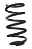 Fahrwerksfeder Hinterachse SPIDAN GKNW10139