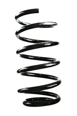 Fahrwerksfeder Hinterachse SPIDAN GKNW10142