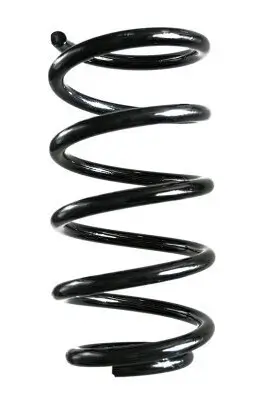 Fahrwerksfeder Hinterachse SPIDAN GKNW10143