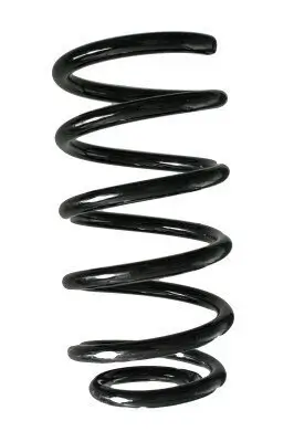 Fahrwerksfeder Hinterachse SPIDAN GKNW10144
