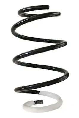Fahrwerksfeder Vorderachse SPIDAN GKNW10145