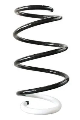 Fahrwerksfeder Vorderachse SPIDAN GKNW10146