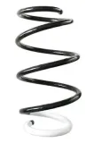 Fahrwerksfeder Vorderachse SPIDAN GKNW10146