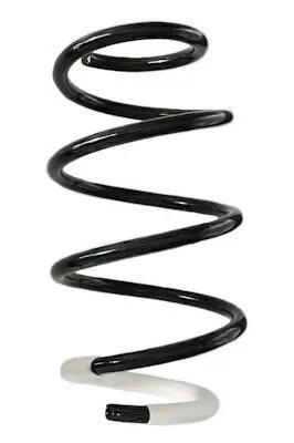 Fahrwerksfeder Vorderachse SPIDAN GKNW10147 Bild Fahrwerksfeder Vorderachse SPIDAN GKNW10147